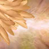 のエンジェルナンバーが示す意味は 恋愛 仕事 金運も大調査 モデルプレス のエンジェルナンバーが示す意味は 恋愛 仕事 金運も大調査 モデルプレス