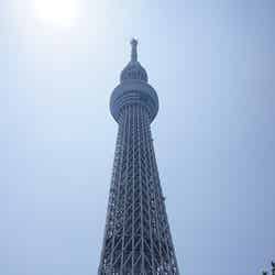 東京スカイツリー/Photo by Kentaro Ohno