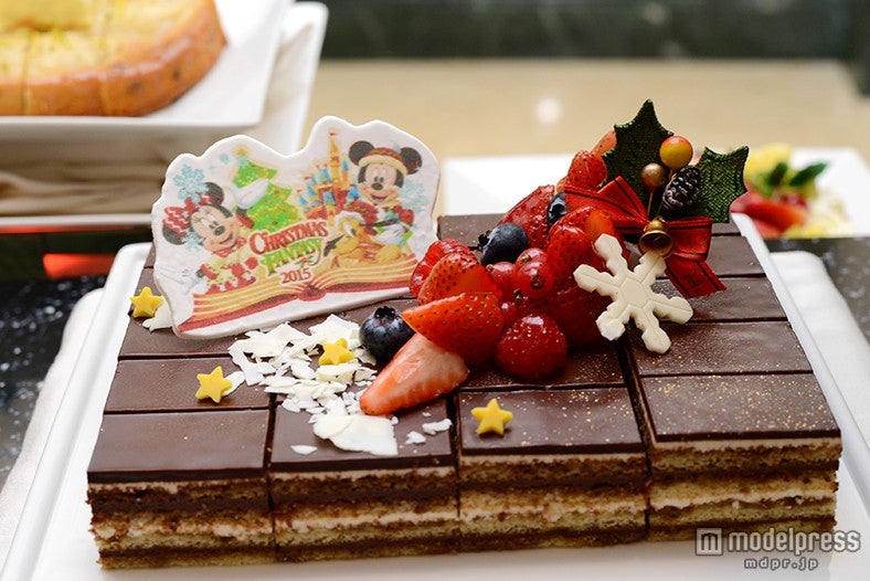 ガトー・オペラ（C）モデルプレス 