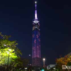 桜イルミが舞う福岡タワー/画像提供:福岡タワー