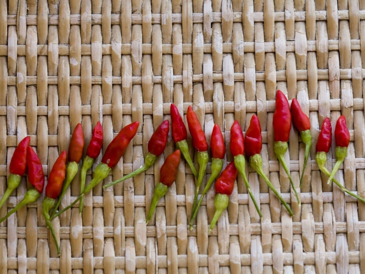 コーレグースの材料となる島唐辛子。使用する際は洗ってしっかり乾かしてから