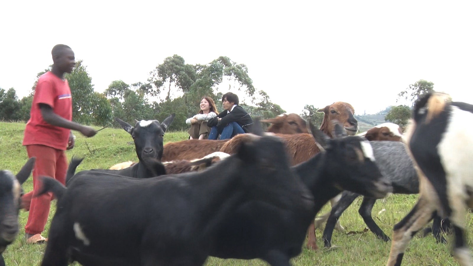 「あいのり：African Journey」第10話より（C）フジテレビ