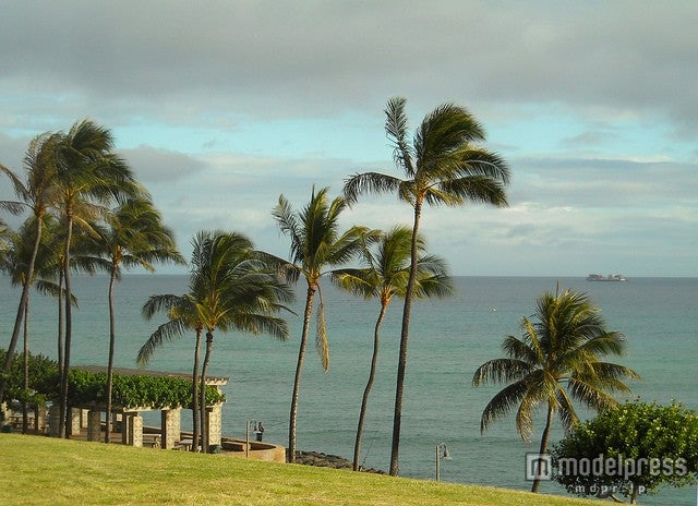 カカアコ・ウォーターフロント・パーク／photo by jdnx
