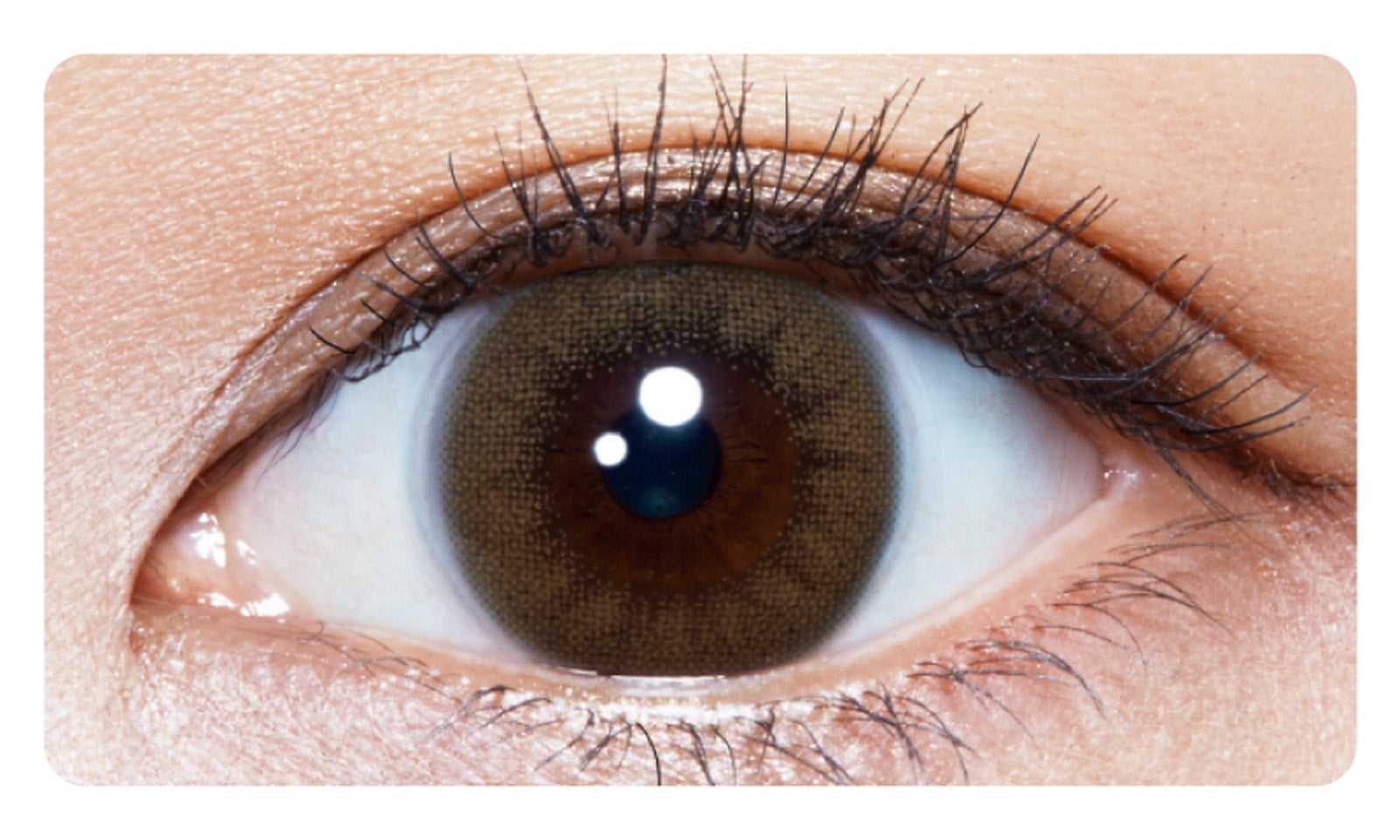 1DAYメニコン Rei Flare Beige （着色外径：13.3mm／着色内径：6.5mm）