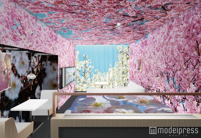 満開の桜にうっとり 京都のホテルに蜷川実花ら手掛けるアートな客室が誕生 女子旅プレス