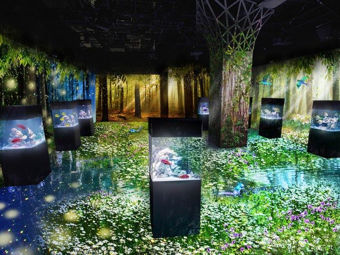 NAKED FLOWER AQUARIUM‐Bring You Happiness‐/画像提供:横浜八景島