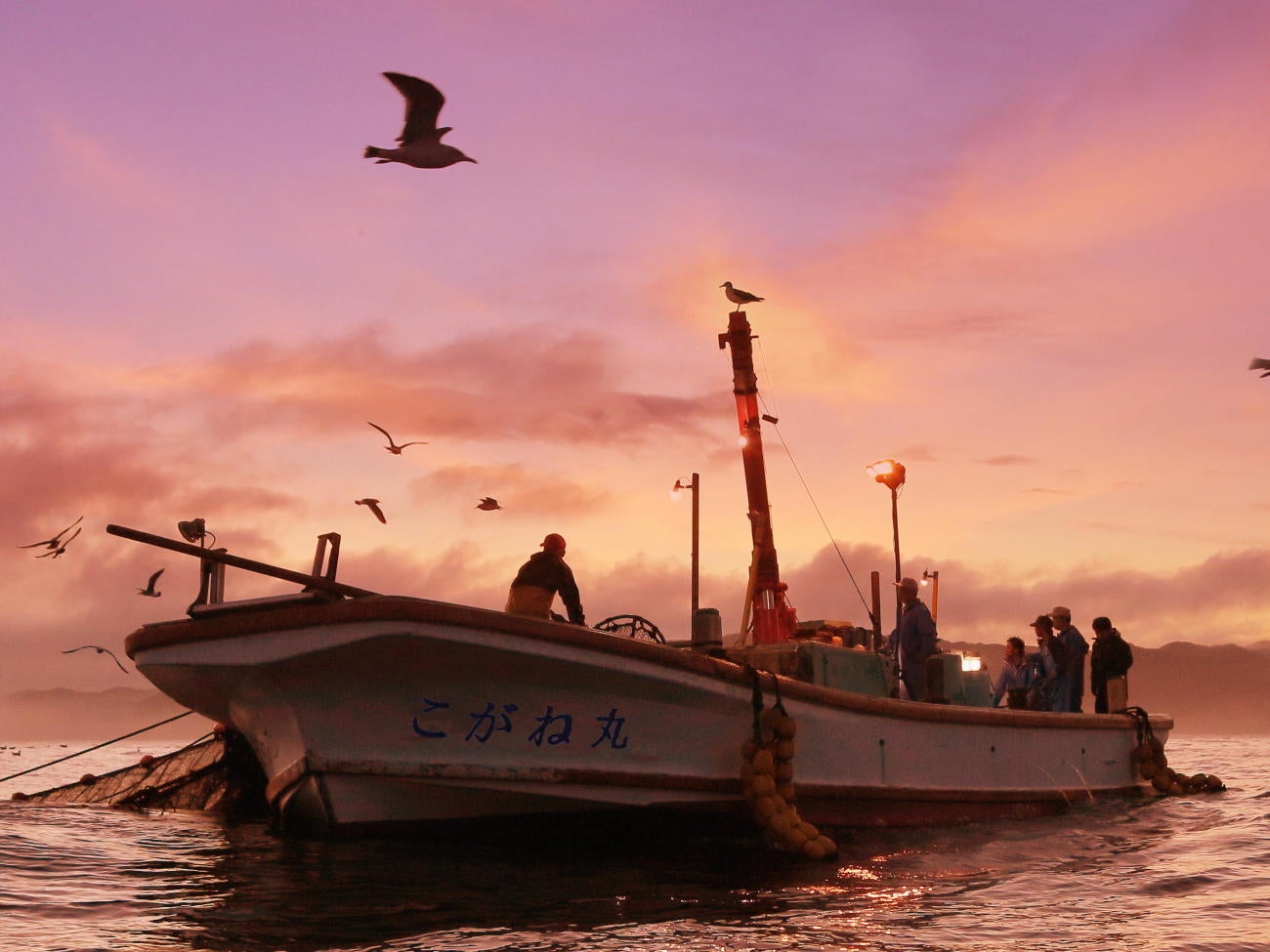 雫花／画像提供：こがね