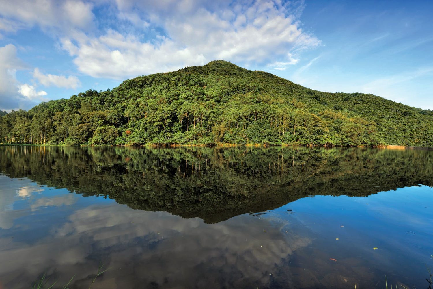 香港で大自然グランピングやマリンスポーツ?意外性に満ちた香港旅行が新しい!