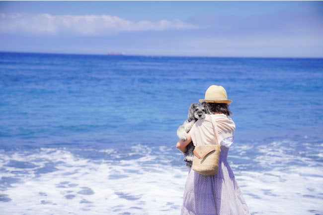 東京の離島で愛犬と泊まる貸別荘 アソビルクス 伊豆大島のヴィラでリゾート旅行 女子旅プレス 東京の離島で愛犬と泊まる貸別荘 アソビルクス 伊豆大島のヴィラでリゾート旅行 女子旅プレス