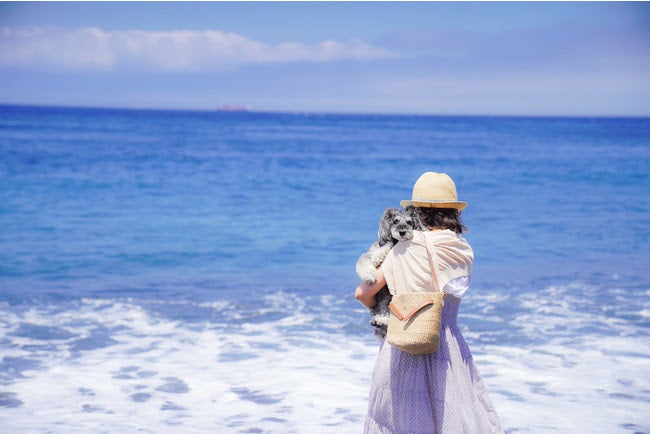 東京の離島で愛犬と泊まる貸別荘 アソビルクス 伊豆大島のヴィラでリゾート旅行 女子旅プレス