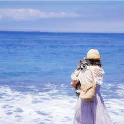 大島の海岸/画像提供:AuTaBi