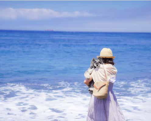 東京の離島で愛犬と泊まる貸別荘「アソビルクス」伊豆大島のヴィラでリゾート旅行