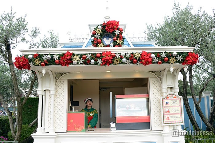 ディズニーランド・デコレーション