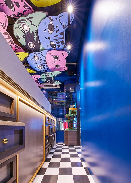 猫甜茶室capioca／画像提供：家木