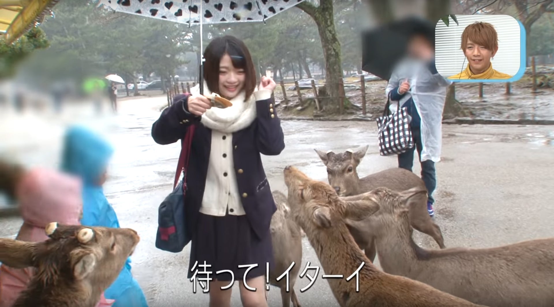 「＃女子高生ミスコン 2016-2017 FINALIST」第10回／画像提供：女子高生ミスコン