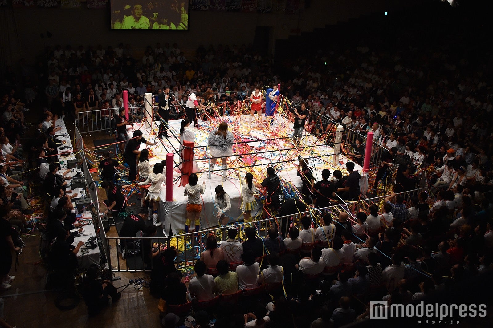 豆腐プロレス The REAL 2017 WIP CLIMAX（C）モデルプレス