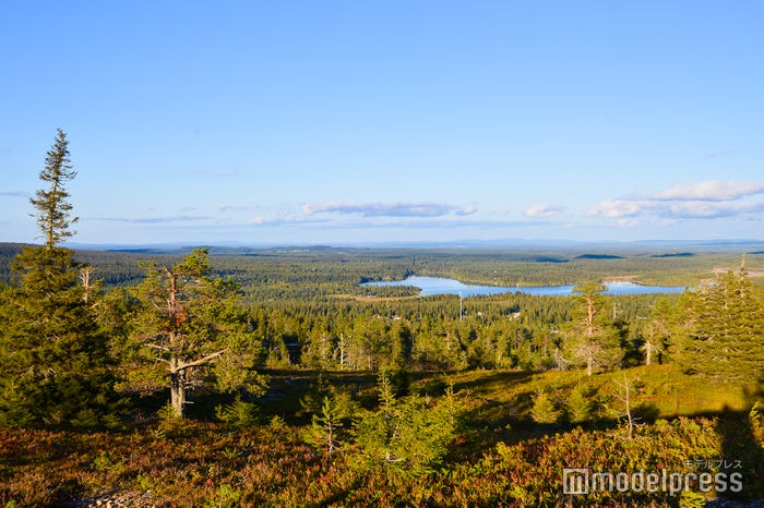 ベリー摘みで訪れた山の上からの景色 （C）ビューティーガール