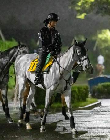 【京都大賞典】アクアヴァーナル 秋初戦は好発進だ 成長に四位師「馬っぷりよく、体幹もしっかりしてきた」