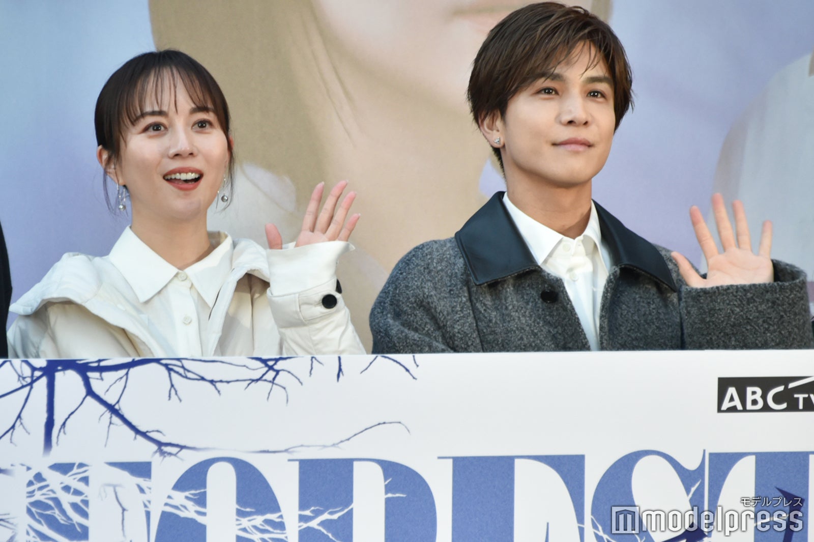 比嘉愛未、岩田剛典