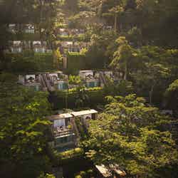 タイ・プーケット「ディンソ リゾート」自然に溶け込む静寂の隠れ家リゾートホテル