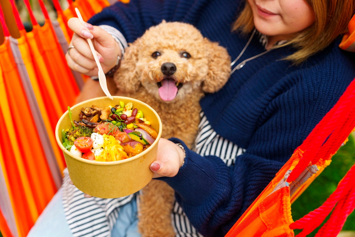 DOG RUN &amp; BBQ Beer Garden／提供画像