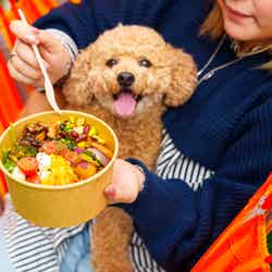 DOG RUN & BBQ Beer Garden/提供画像