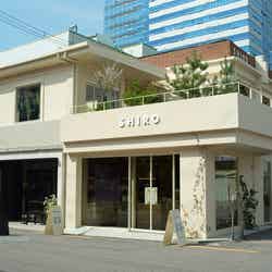 SHIROが韓国・聖水に新店舗 限定の香り&“ハーブブレンダーラボ”が登場