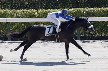 【新馬戦】ロードアマデウス5馬身差圧勝デビュー 横山和「全然まだまだです。よく勝ちました」