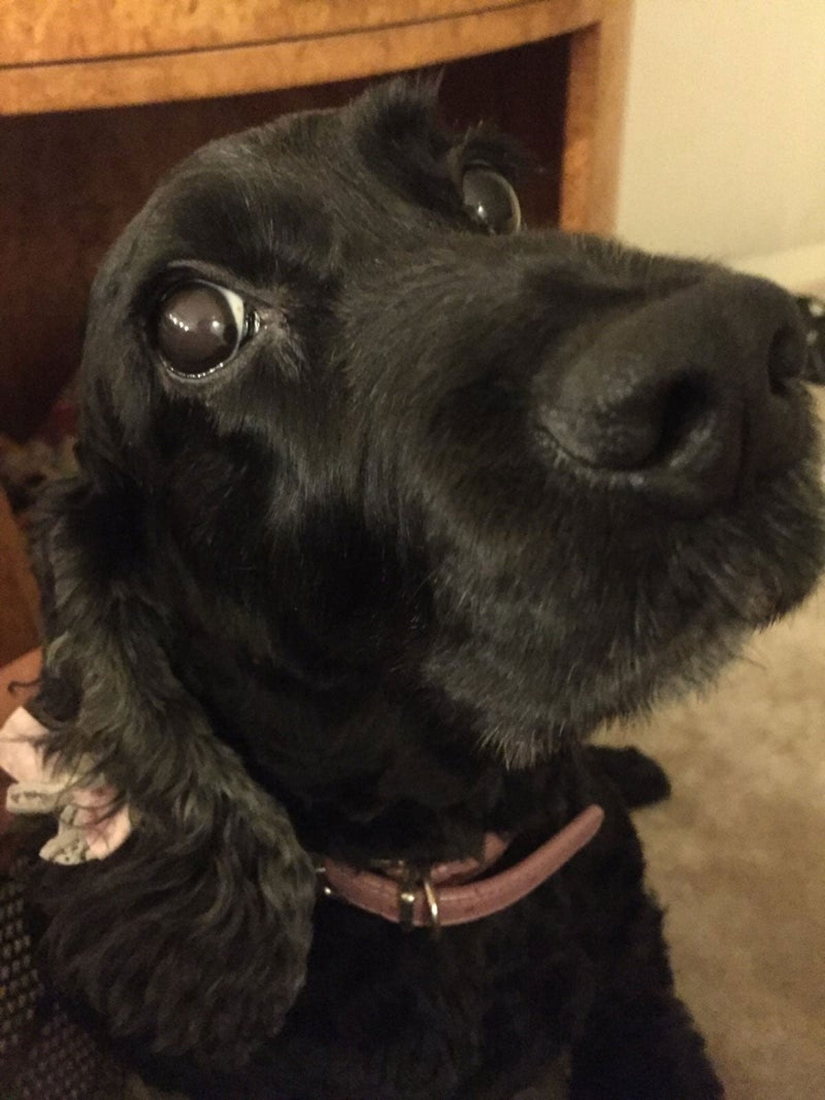 高橋克典オフィシャルブログ（提供写真）