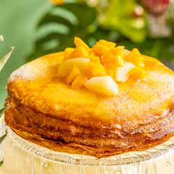 マンゴー ランデブー/提供画像