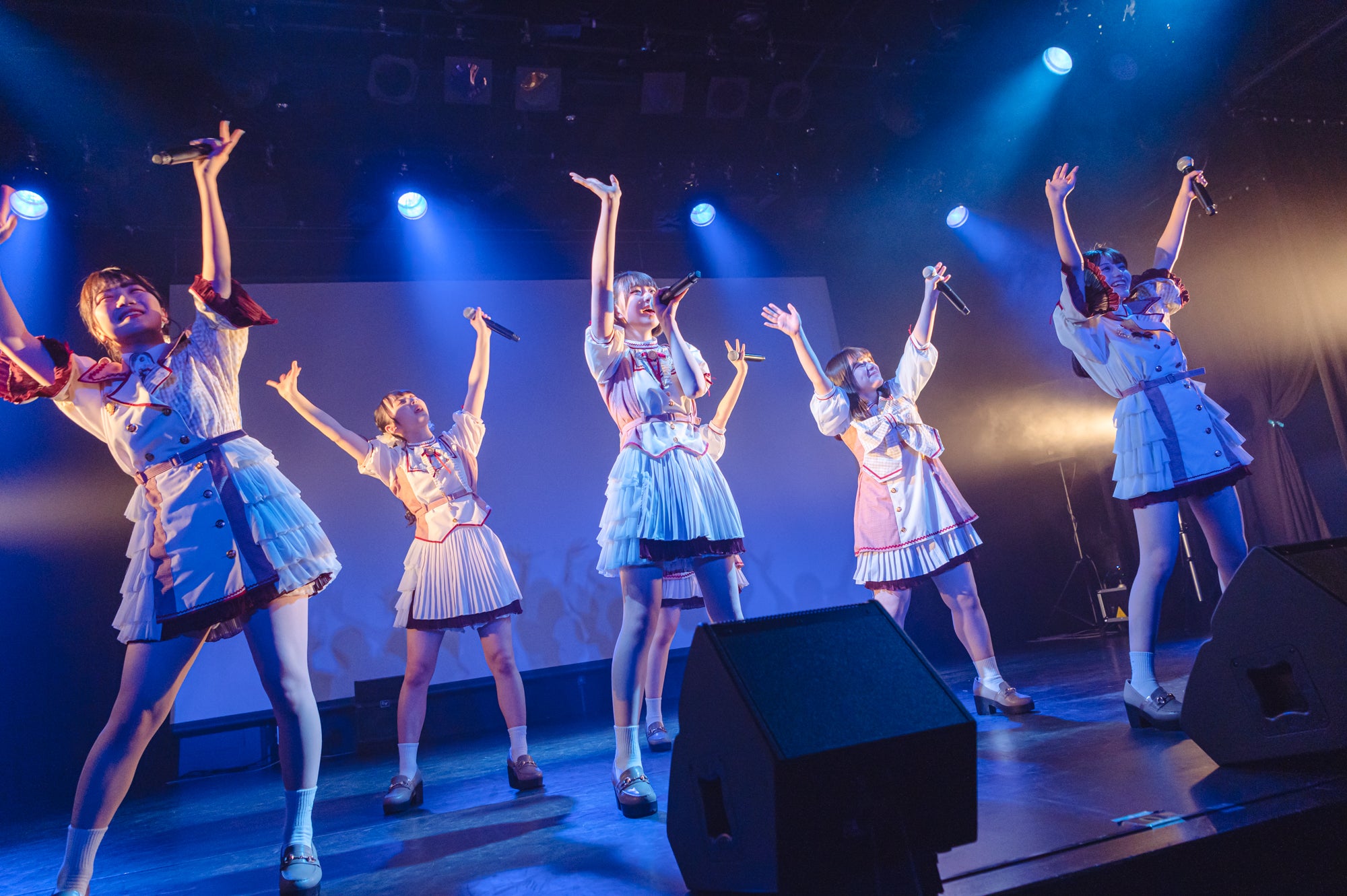 かすみ草とステラ（提供写真）