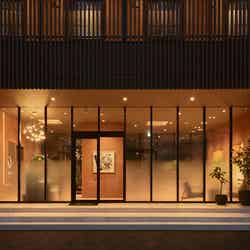 星の華/画像提供:ダイスプロジェクト