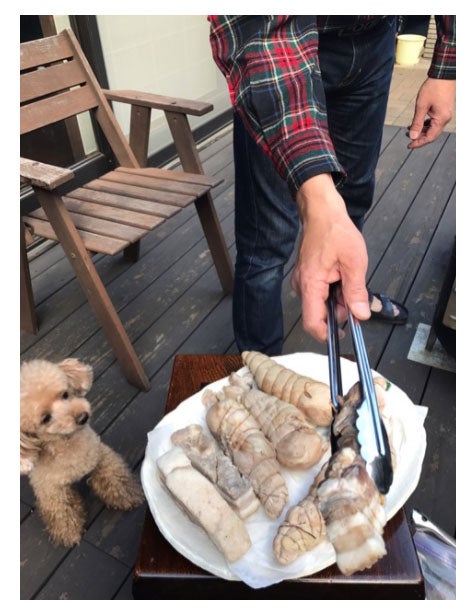 燻製を焼くヒロくん／稲垣吾郎オフィシャルブログ（Ameba）より