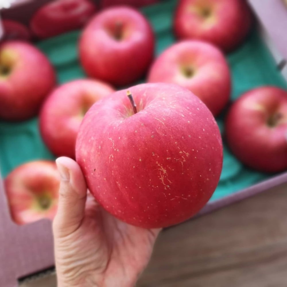 コストコ青森県産リンゴ