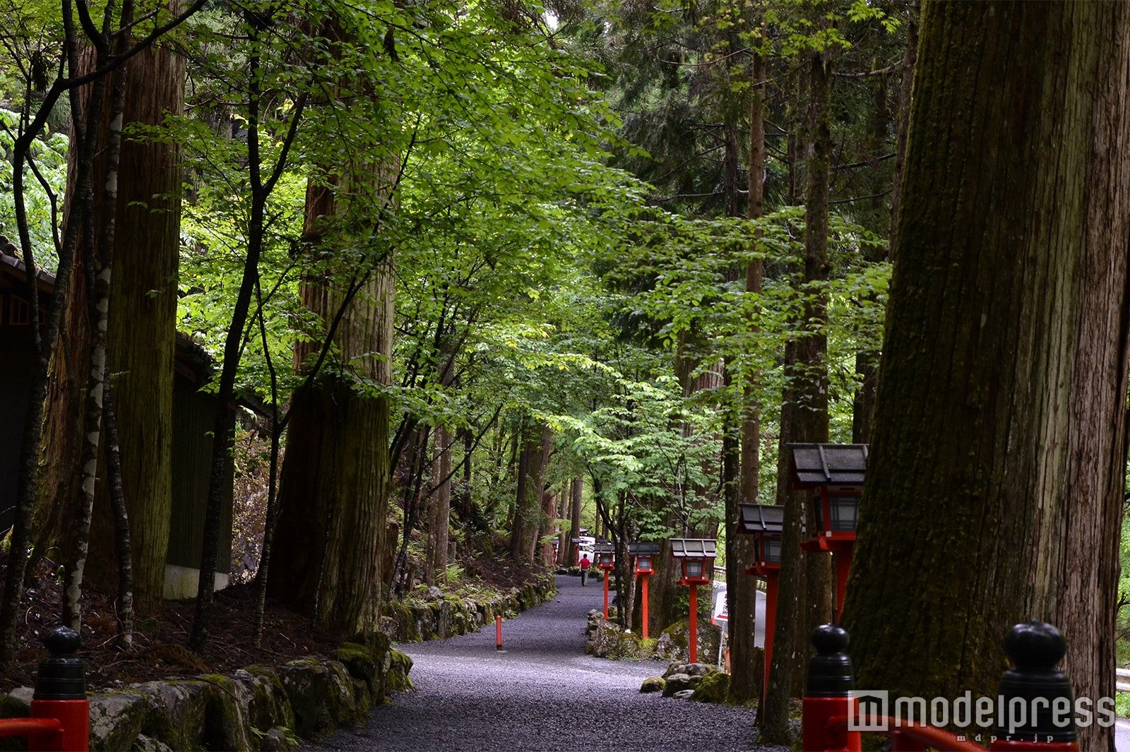 奥宮へ続く参道（C）モデルプレス