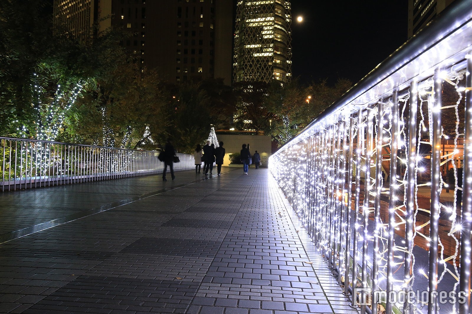 新宿三井ビルディング・ペデストリアンデッキイルミネーション／画像提供：西新宿街ぐるみプロジェクト