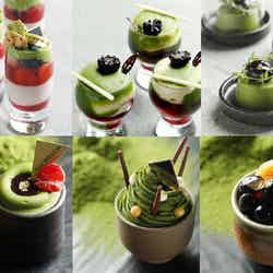 抹茶スイーツ20種を食べ尽くす!「抹茶デザートブッフェ」ウェスティンホテル東京で初開催/画像提供:マリオット・インターナショナル