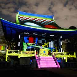 2015年の円融寺のプロジェクションマッピングの様子/画像提供:一般財団法人 最先端表現技術利用推進協会