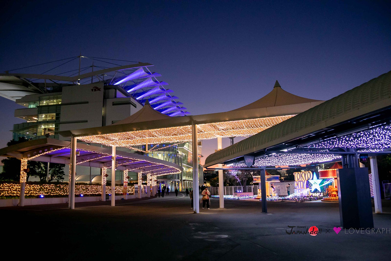 28日放送の「カワイイジャパンダ」より（写真提供：MBS）