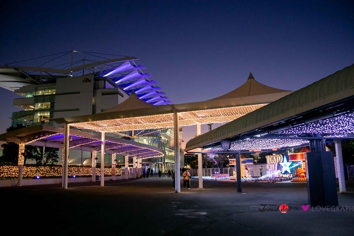 28日放送の「カワイイジャパンダ」より(写真提供:MBS)