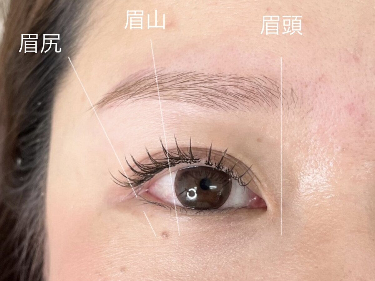 眉の土台MAP