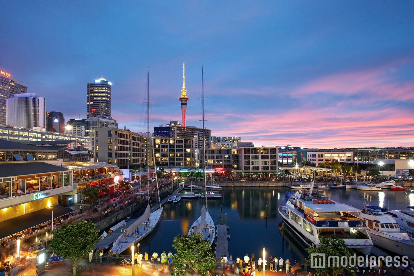 オークランドの街並み（（C）Auckland Tourism）／画像提供：JTBワールドバケーションズ