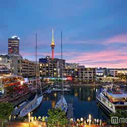 オークランドの街並み((C)Auckland Tourism)/画像提供:JTBワールドバケーションズ