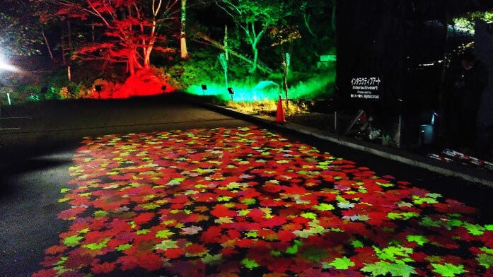 ナイトイベント・奇跡のイルミネート