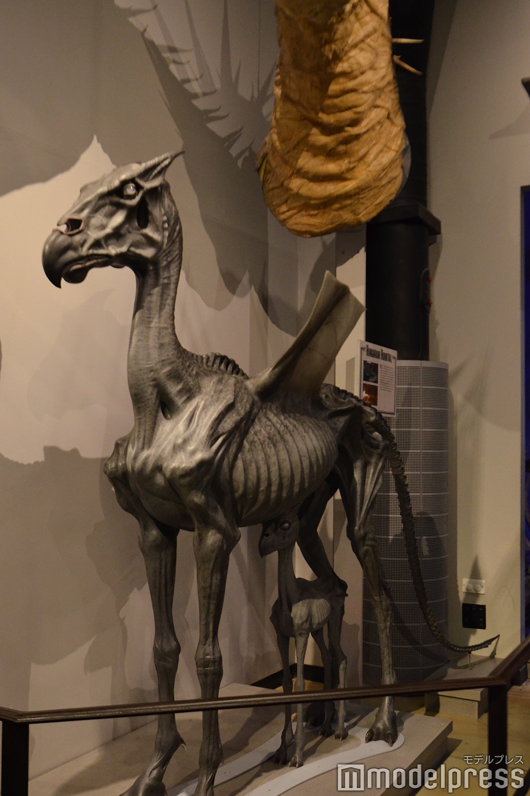 ワーナー ブラザース スタジオツアーロンドン -　メイキング・オブ・ハリー・ポッター（C）モデルプレス Warner Bros. Studio Tour London – The Making of Harry Potter