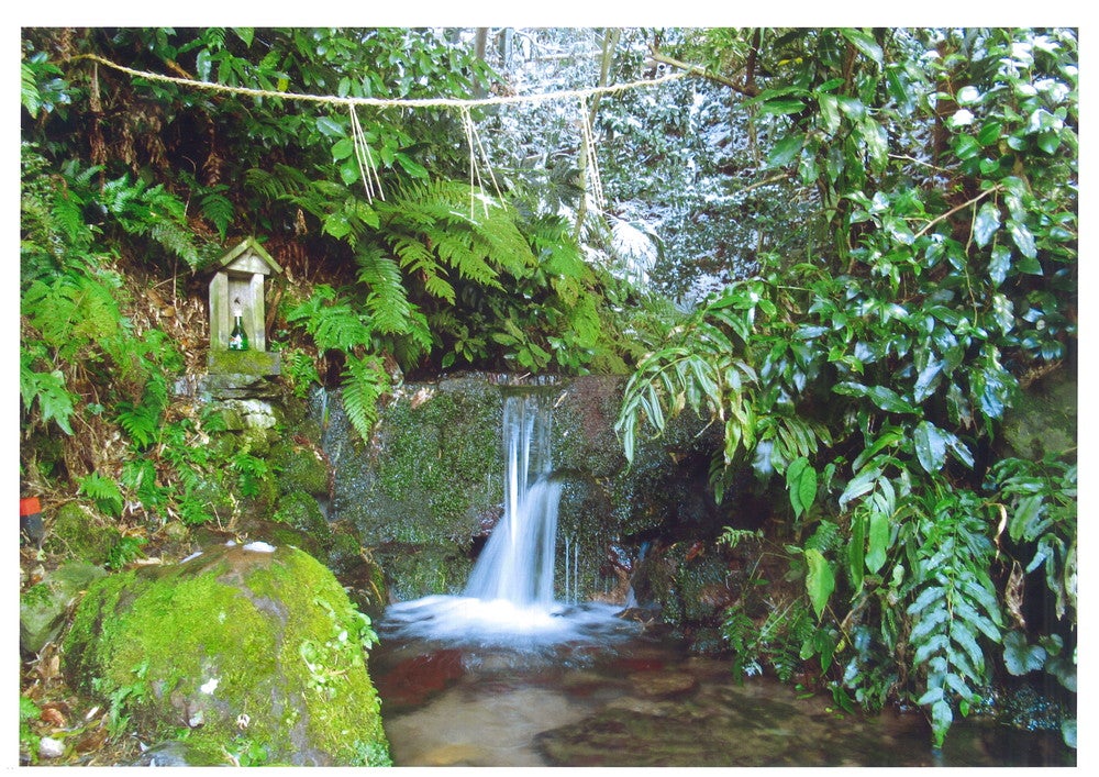 清らかな水が湧き出る清泉。綺麗な水にうっとりしてしまう。（提供画像）