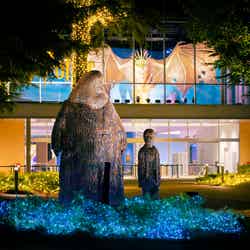 クリスマス・ライトアップ/提供画像