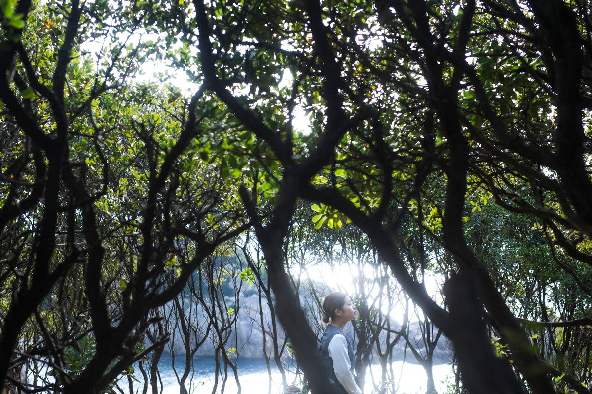 ザマナ ヴィレッジ／画像提供：Catalyst