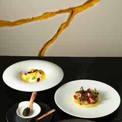 日本上陸した「ブタリ(BOUTARY)」/画像提供:BOUTARY JAPAN