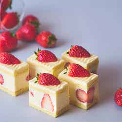 ストロベリーにメロメロ/提供画像